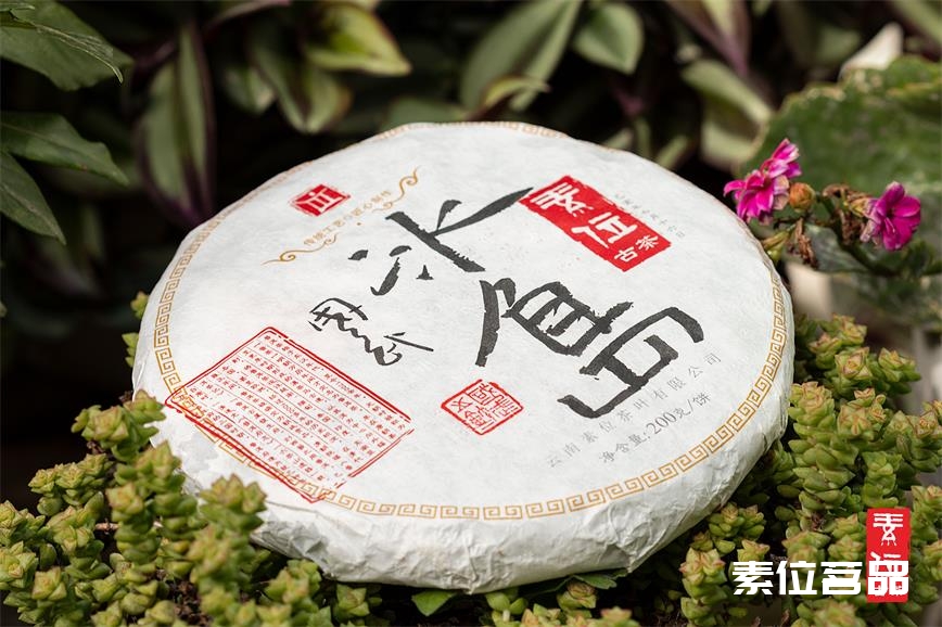 冰岛普洱茶产地在哪里？