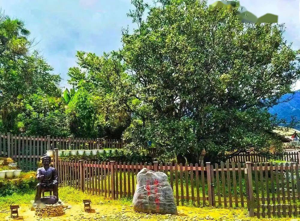 邦东乡“昔归村”荣获《临沧市第二批乡村旅游品牌村》-图片11