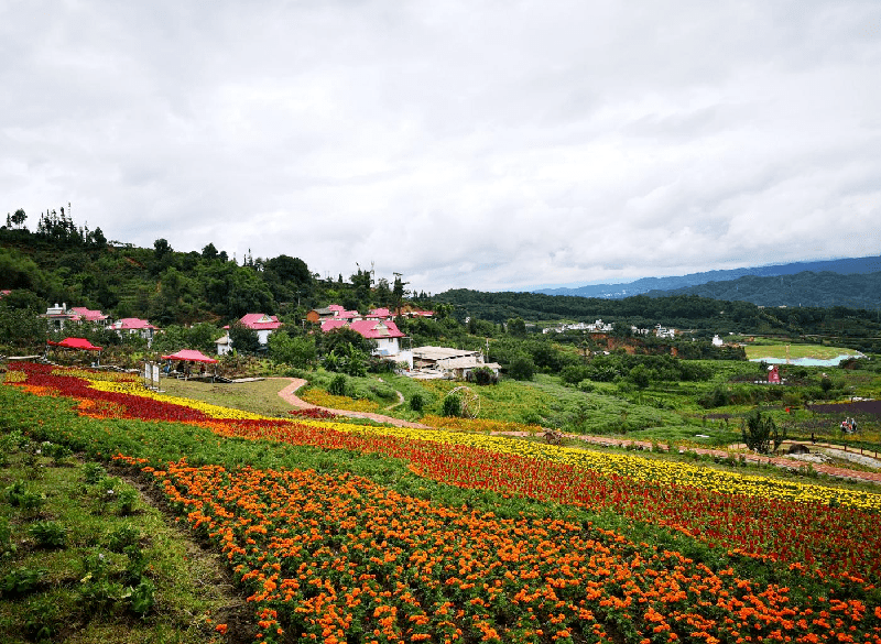 邦东乡“昔归村”荣获《临沧市第二批乡村旅游品牌村》-图片4