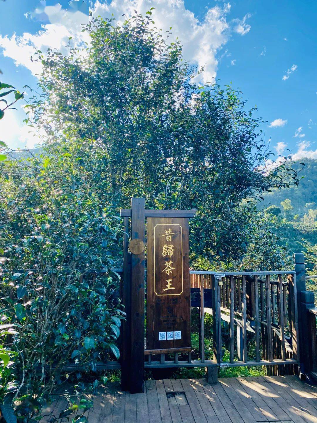 邦东乡“昔归村”荣获《临沧市第二批乡村旅游品牌村》-图片8