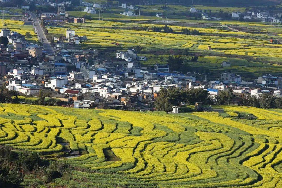 邦东乡“昔归村”荣获《临沧市第二批乡村旅游品牌村》-图片32